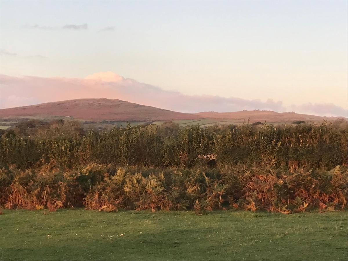 Oak Lodge Τάβιστοκ Εξωτερικό φωτογραφία